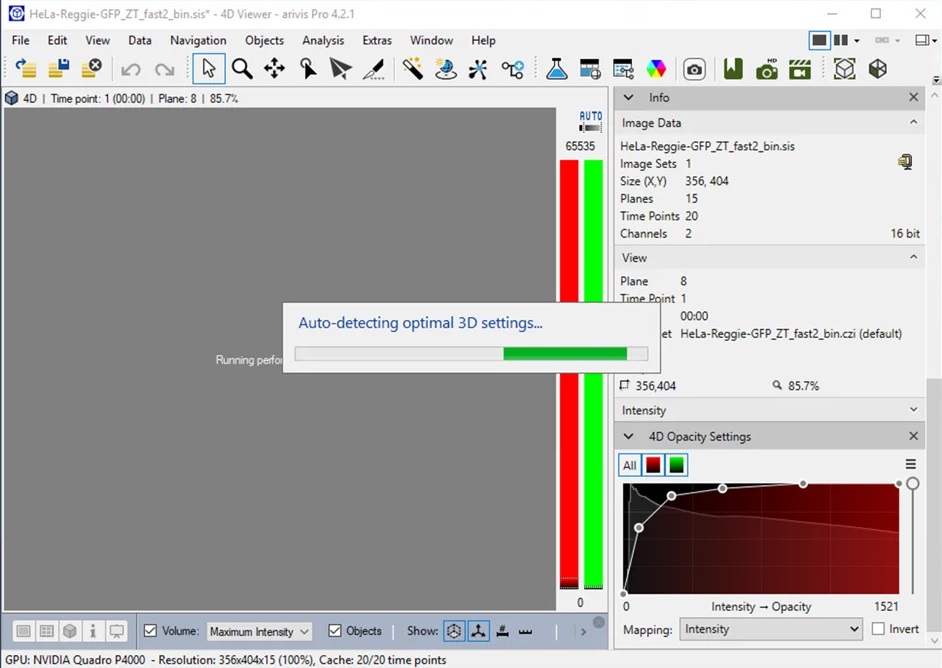 Arivis 4D Viewer showing 'Auto-detecting optimal 3D settings...' progress bar over gray canvas
