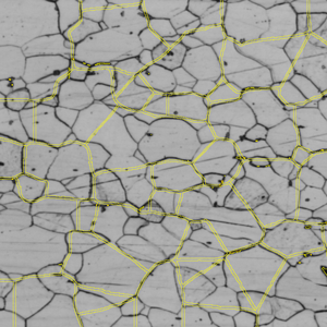 Grayscale image of polygonal regions interconnected and traced with yellow outlines