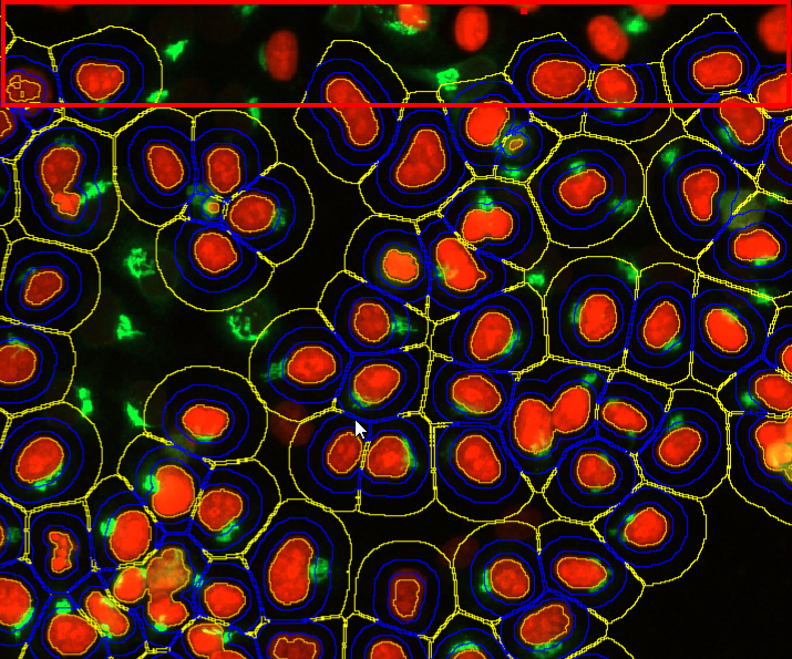 Red oval regions with concentric blue and yellow contour lines, green spots on dark background and thin red bar at top