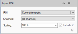 Input ROI panel: ROI 'Current time point', Channels '[all channels]', Scaling '100 %', Include Z checkbox