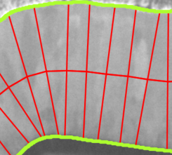 Grayscale sample region bordered by neon green outline with red curved and vertical lines across interior