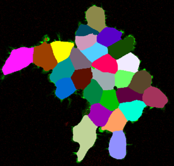 Result in the 2D Viewer