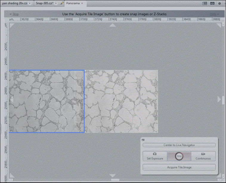 Panorama window with two adjacent sample tiles, blue selection rectangle, and text Use the 'Acquire Tile Image' button