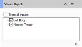 Store Objects dialog showing unchecked Store all inputs: box and checked items Cell Body, Neuron Tracer