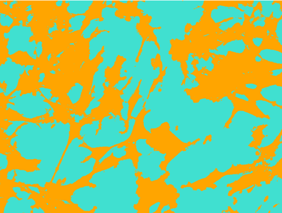 Segmentation mask showing orange cell regions on cyan background