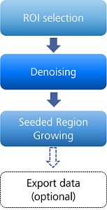 Vertical flowchart: 'ROI selection' → 'Denoising' → 'Seeded Region Growing' → 'Export data (optional)'