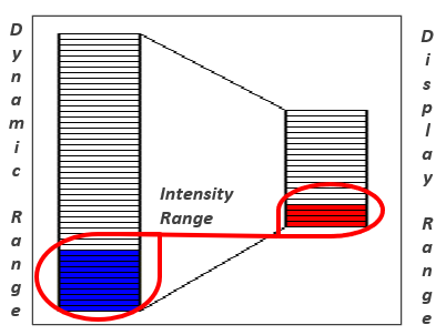 Basic Concepts - Beginner Guide to Core Principles