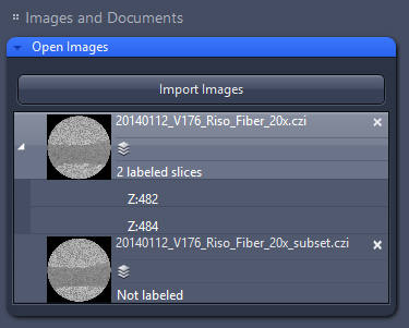 Images and Documents list: 20140112_V176_Riso_Fiber_20x.czi (2 labeled slices Z:482,Z:484) subset file Not labeled