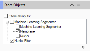 Store Objects showing Machine Learning Segmenter with checked Membrane, Nuclei and checked Nuclei Filter