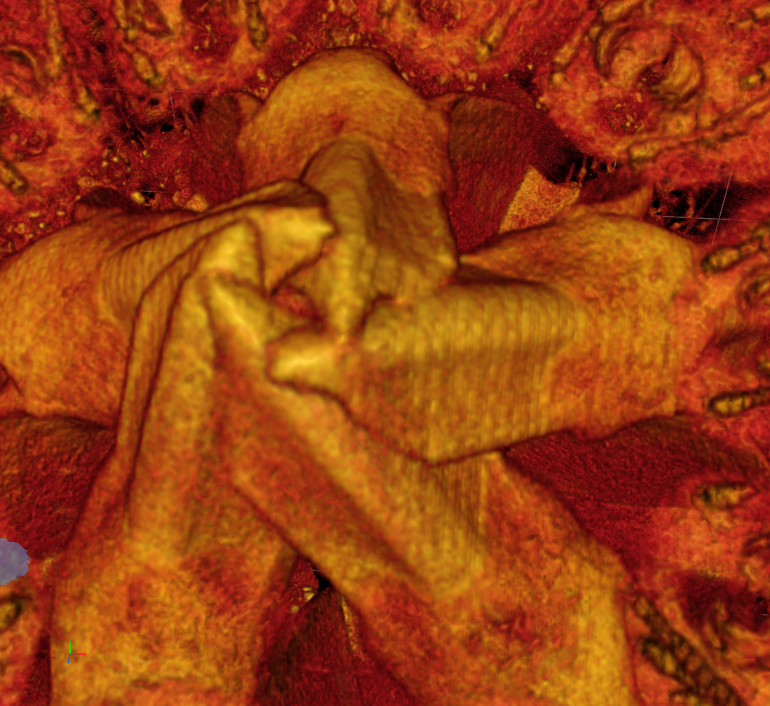 Yellow-orange volume rendering of a central folded textured structure against a red granular background
