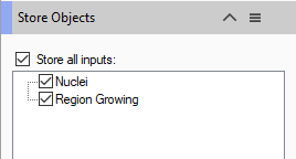 Store Objects window showing checked Store all inputs option and checked boxes Nuclei and Region Growing