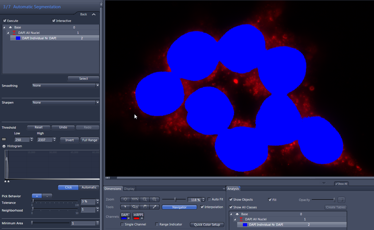 Image viewer showing blue overlaid DAPI nuclei on red fluorescence with segmentation UI labeled Automatic Segmentation left.