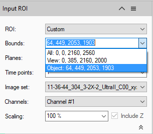 Input ROI dialog showing ROI set to Custom and Bounds dropdown with value 64, 449, 2053, 1903