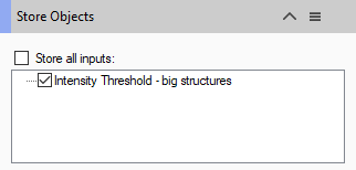 Store Objects dialog showing checked 'Intensity Threshold - big structures' option under 'Store all inputs:'