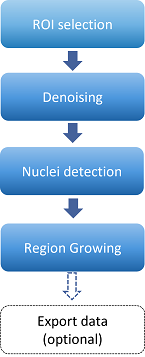 Flowchart: ROI selection → Denoising → Nuclei detection → Region Growing → Export data (optional)