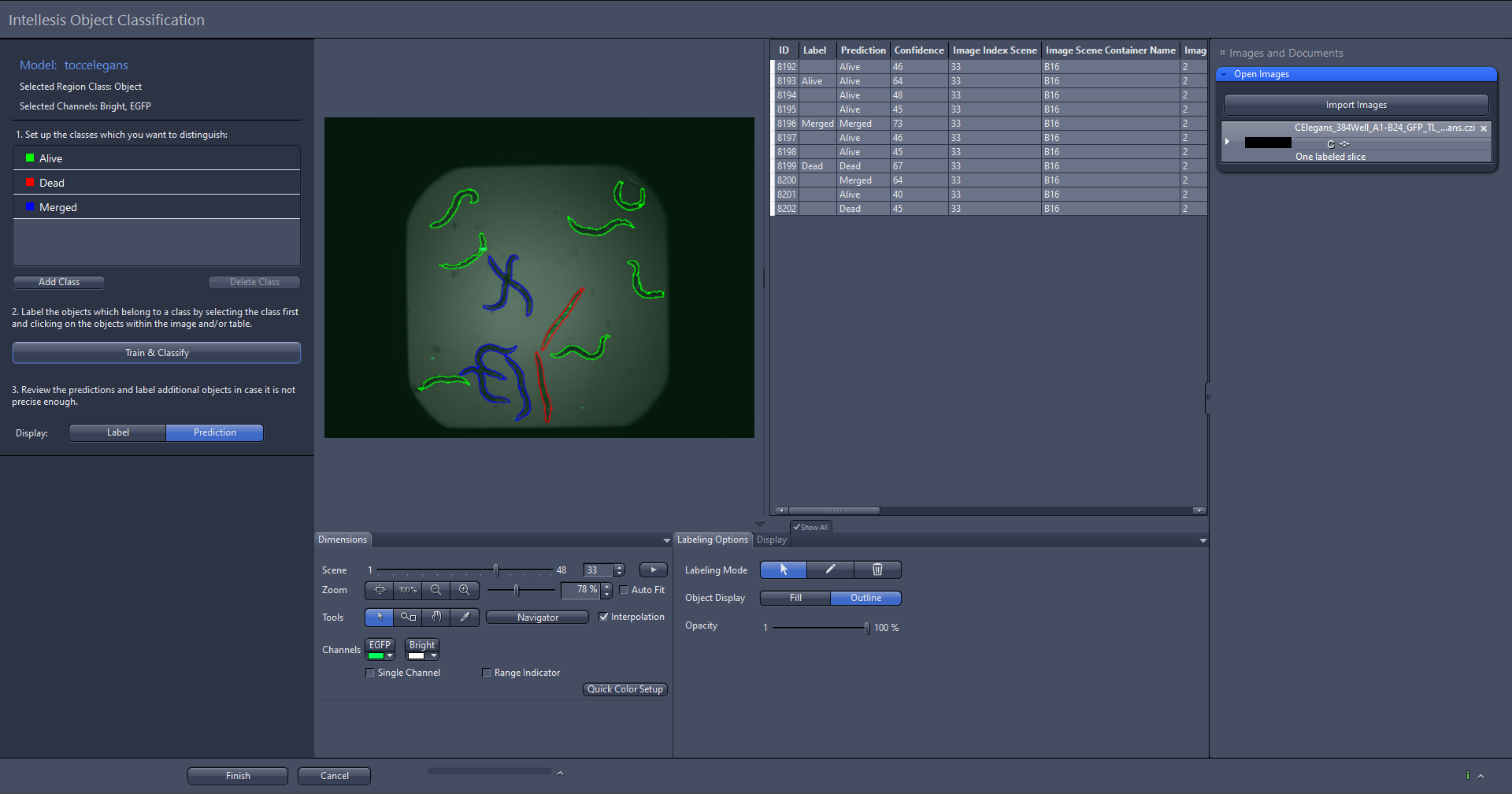 Full Intellesis Object Classification interface with labeled worms outlined in green, red and blue, a class list and results table