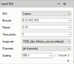 Input ROI dialog showing ROI: Custom; Bounds: 0,0,512,512; Planes: 1-13; Time points: 1; Image set: T099_Gfp+24hdoc_mis.ims