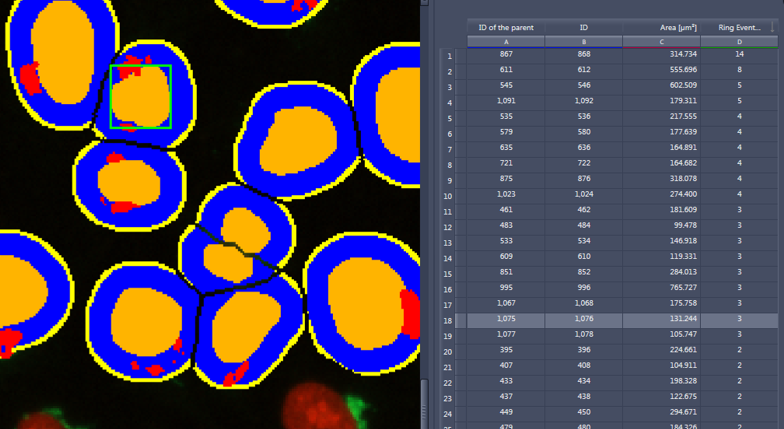 Round objects with orange centers, blue rings and red spots left; table showing ID of the parent, ID, Area [µm²] right