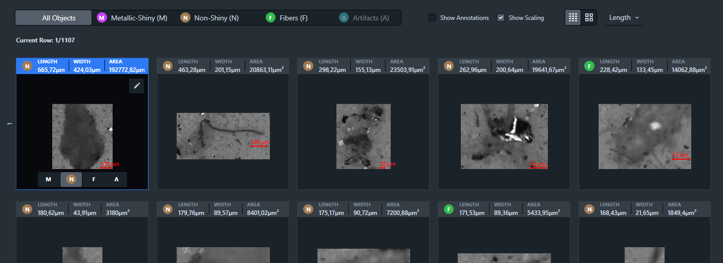 Dark gallery of particle thumbnails with LENGTH WIDTH AREA labels and category filters M, N, F, A