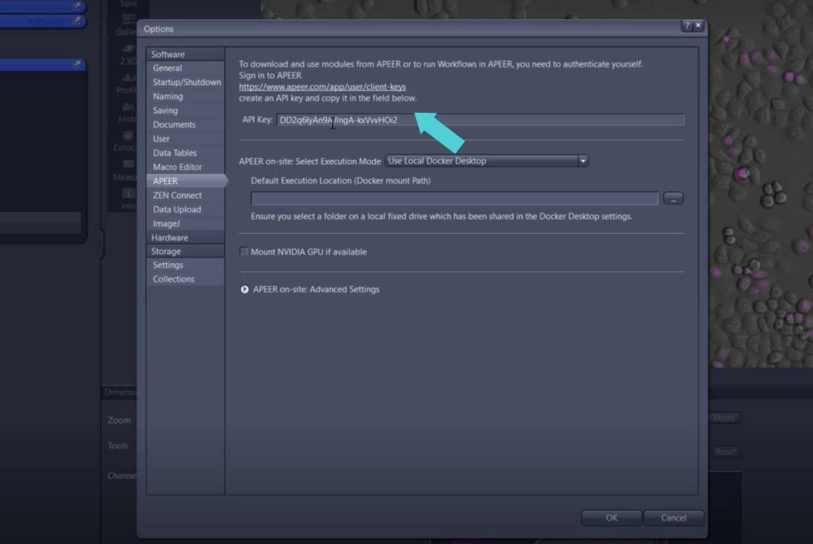 Options dialog showing APEER API Key field highlighted by turquoise arrow