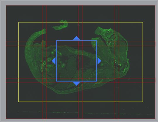 Dark background with green irregular shape inside yellow rectangle, red grid lines, central blue square with diamond handles