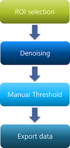 Vertical flowchart: boxes labeled ROI selection → Denoising → Manual Threshold → Export data.